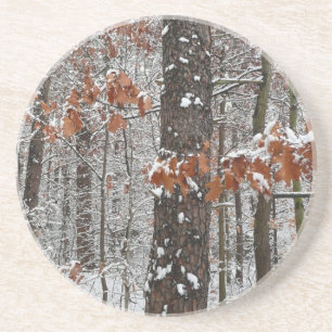 Schneebedeckte Eichen - Winterlandschaftsfotografi Sandstein Untersetzer