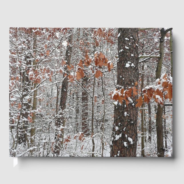 Schneebedeckte Eichenbäume Winternaturfotografie Gästebuch (Vorderseite)