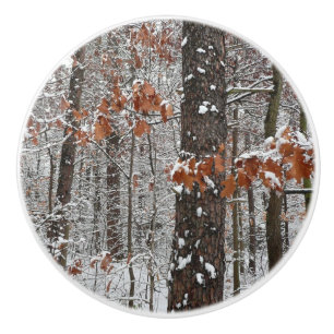 Schneebedeckte Eichenbäume Winternaturfotografie Keramikknauf
