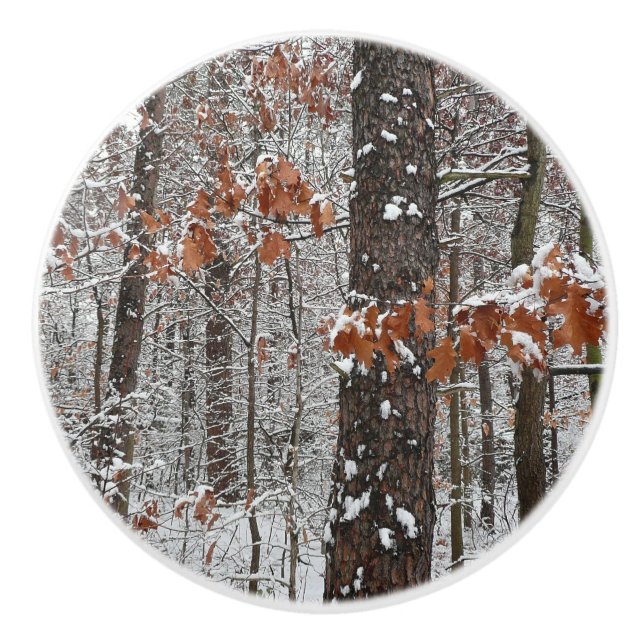 Schneebedeckte Eichenbäume Winternaturfotografie Keramikknauf (Vorderseite)
