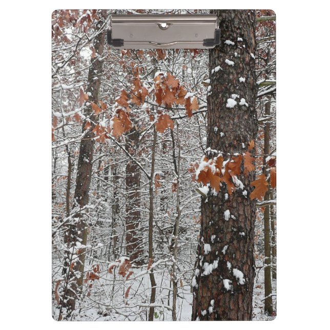 Schneebedeckte Eichenbäume Winternaturfotografie Klemmbrett (Vorderseite)