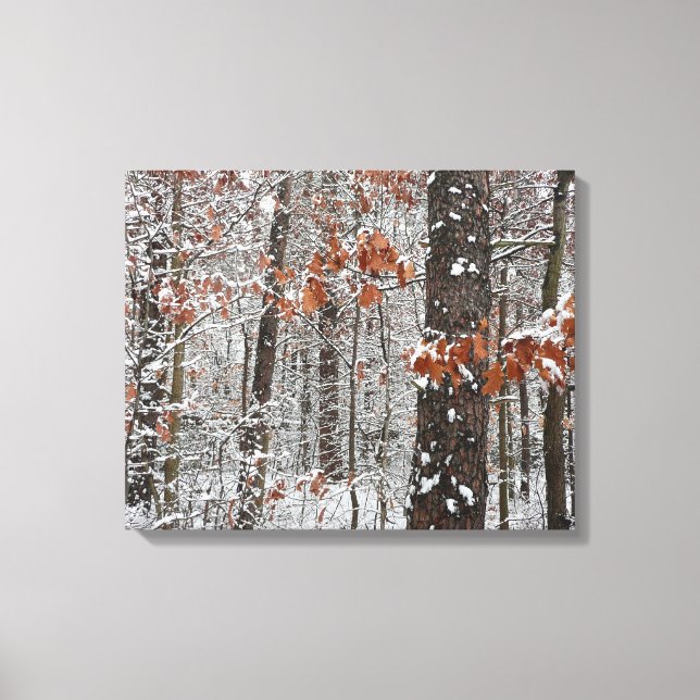 Schneebedeckte Eichenbäume Winternaturfotografie Leinwanddruck (Vorderseite)