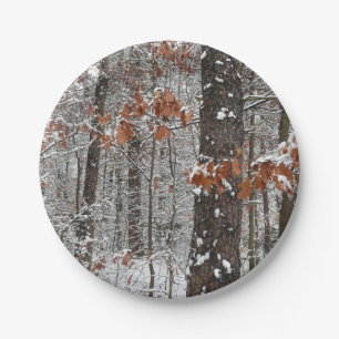 Schneebedeckte Eichenbäume Winternaturfotografie Pappteller