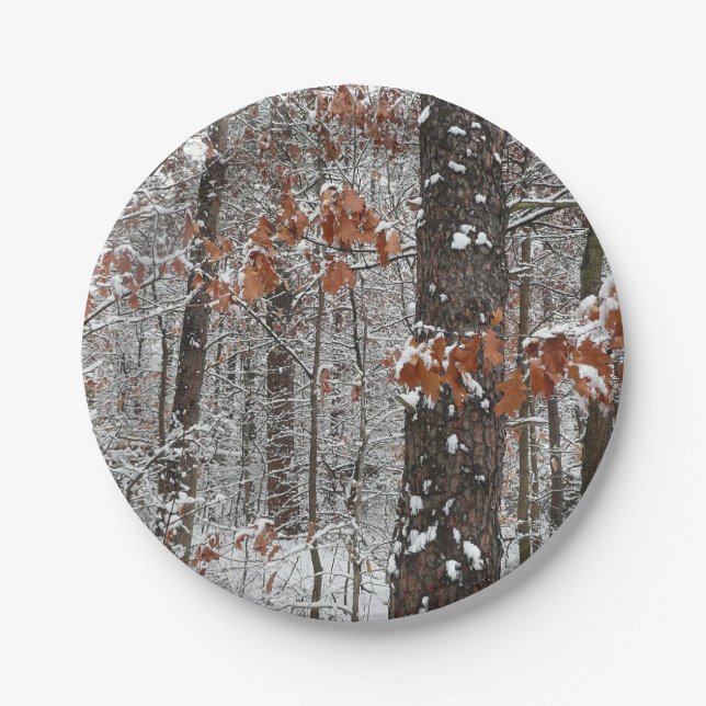 Schneebedeckte Eichenbäume Winternaturfotografie Pappteller (Vorderseite)