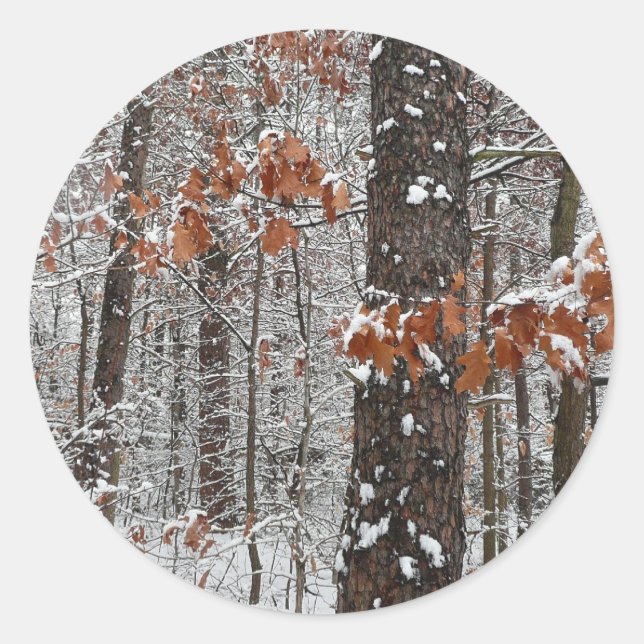 Schneebedeckte Eichenbäume Winternaturfotografie Runder Aufkleber (Vorderseite)