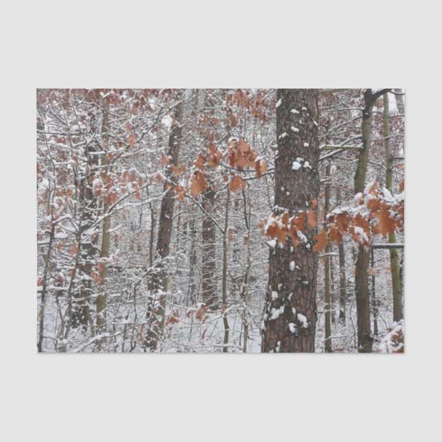 Schneebedeckte Eichenbäume Winternaturfotografie Seidenpapier (Vorderseite)