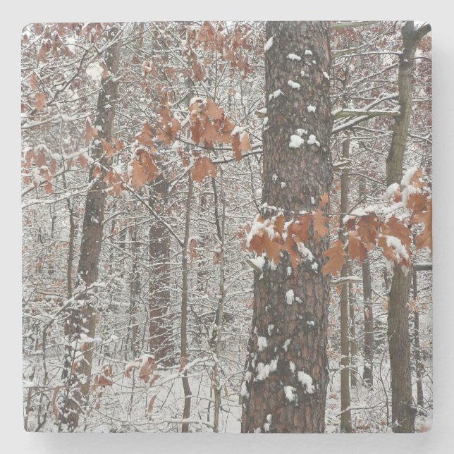 Schneebedeckte Eichenbäume Winternaturfotografie Steinuntersetzer (Vorderseite)