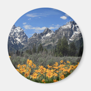 Schneebedeckte Grand Teton Range mit gelben Blumen Magnet