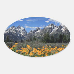 Schneebedeckte Grand Teton Range mit gelben Blumen Ovaler Aufkleber