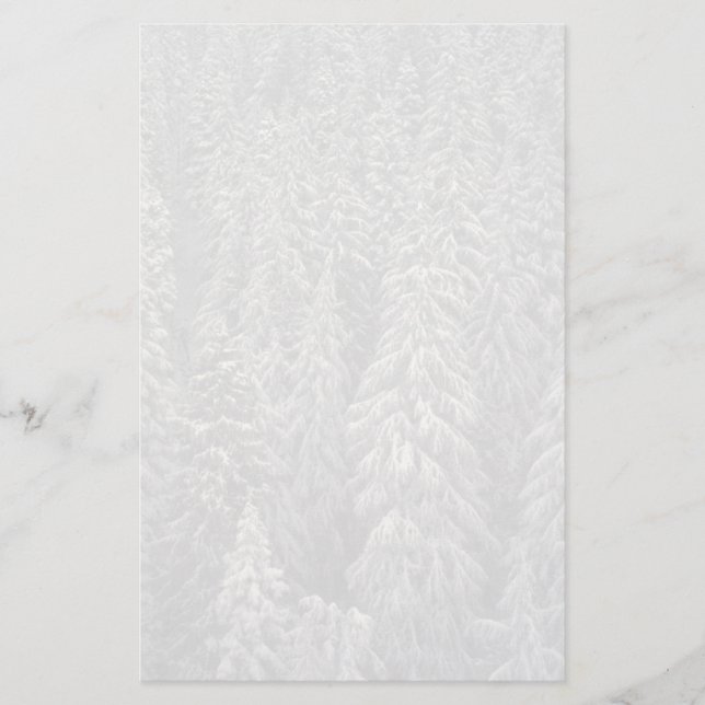 Schneebedeckte Kiefer Briefpapier (Vorderseite)