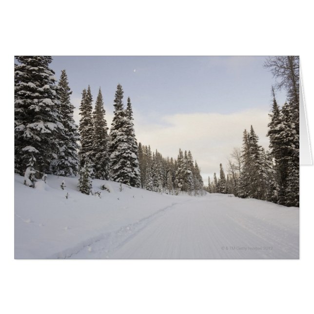 Schneebedeckte Landschaft (Vorderseite (Horizontal))