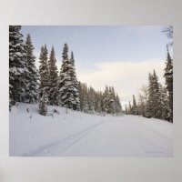 Schneebedeckte Landschaft