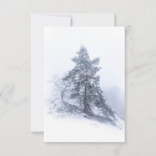 Schneebedeckte Pine Tree Winter Fotokarte Karte