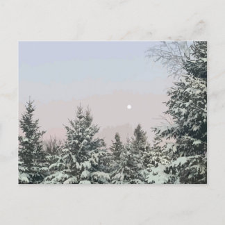Schneebedeckte Pine Trees Moon Sunset Postkarte
