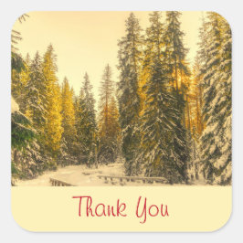 Schneebedeckte Pinienbäume Foto Natur Danke Quadratischer Aufkleber