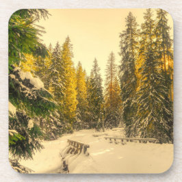 Schneebedeckte Pinienwälder Foto Getränkeuntersetzer