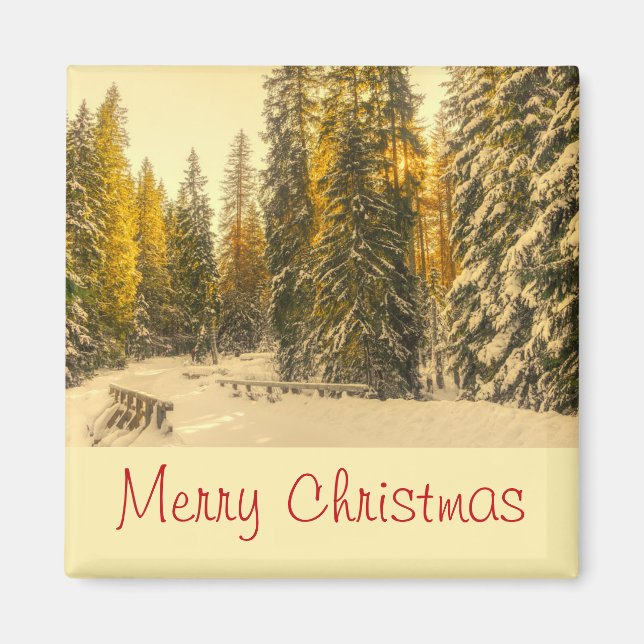 Schneebedeckte Pinienwälder Foto Weihnachten Magnet (Vorne)