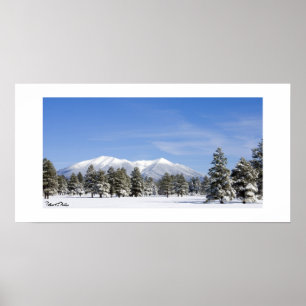 Schneebedeckte Prärie & San Francisco Peaks Arizon Poster