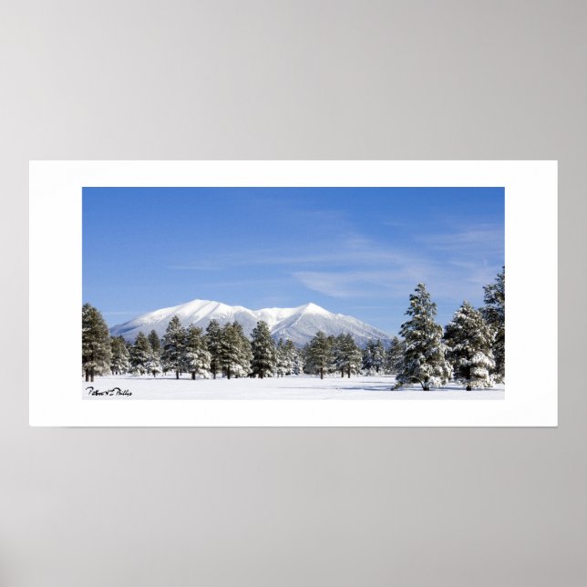 Schneebedeckte Prärie & San Francisco Peaks Arizon Poster (Vorne)