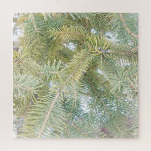 Schneebedeckte Spruce-Bäume. Jetzt kaufen