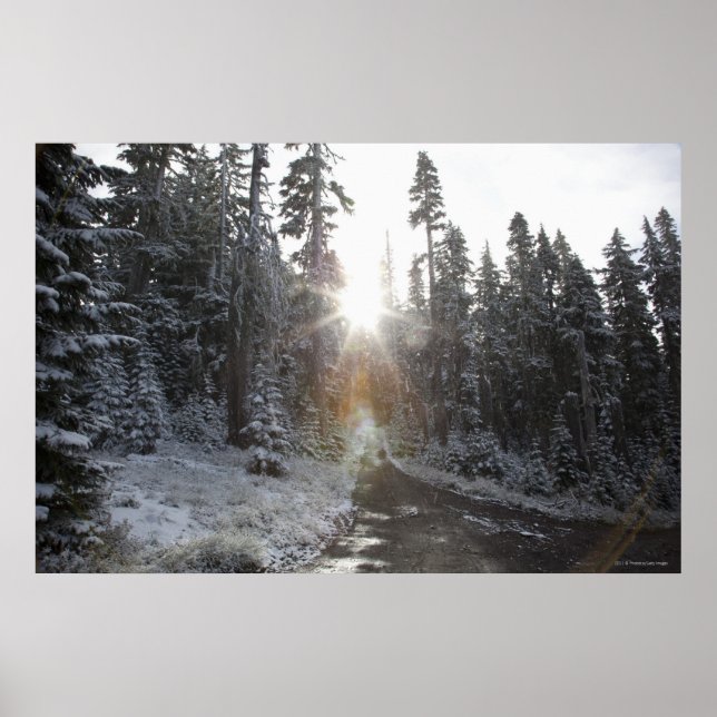 Schneebedeckte Straße in die Sonne Poster (Vorne)