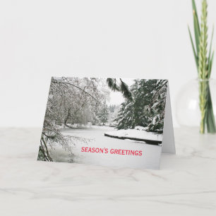 Schneebedeckte Teich-Weihnachtskarte Feiertagskarte