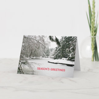 Schneebedeckte Teich-Weihnachtskarte Feiertagskarte