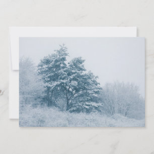 Schneebedeckte Tree Winter Nature Foto Card