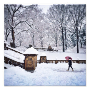 Schneebedeckte Treppe im Central Park Fotodruck