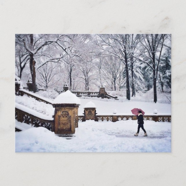 Schneebedeckte Treppen im Zentralpark Postkarte (Vorderseite)