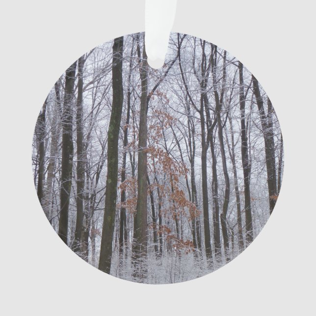 Schneebedeckte Wälder Winterlandschaft Fotografie Ornament (Vorderseite)