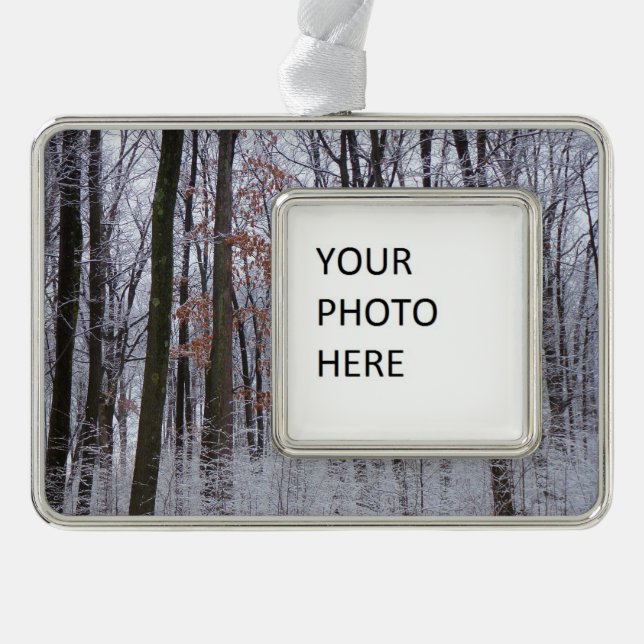 Schneebedeckte Wälder Winterlandschaft Fotografie Rahmen-Ornament Silber (Vorderseite)