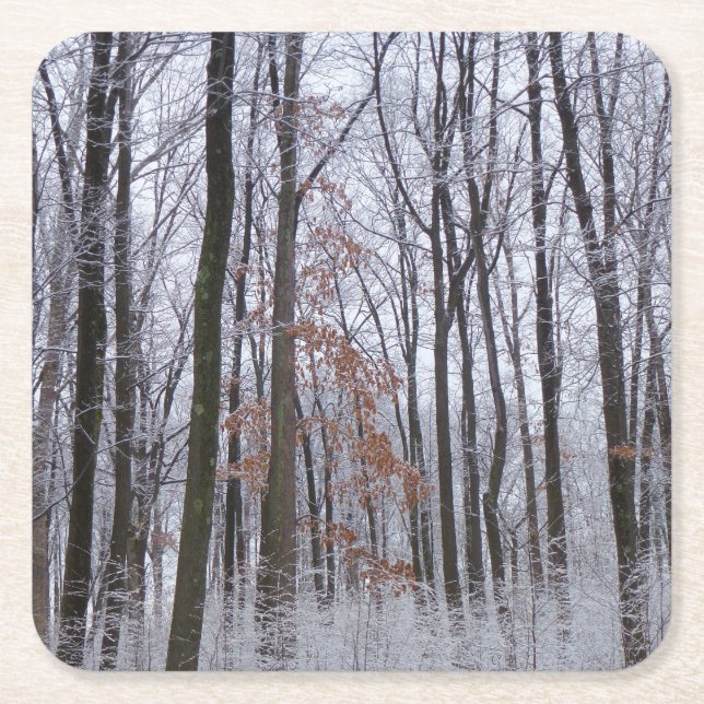 Schneebedeckte Wälder Winterlandschaft Fotografie Rechteckiger Pappuntersetzer (Vorderseite)