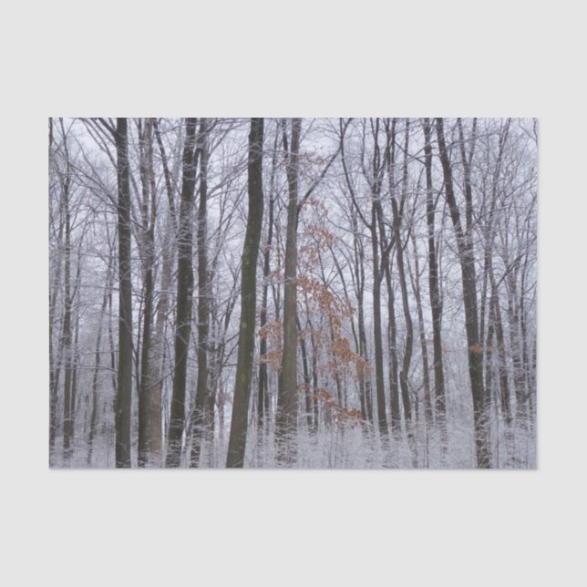 Schneebedeckte Wälder Winterlandschaft Fotografie Seidenpapier (Vorderseite)