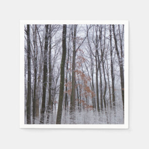 Schneebedeckte Wälder Winterlandschaft Fotografie Serviette