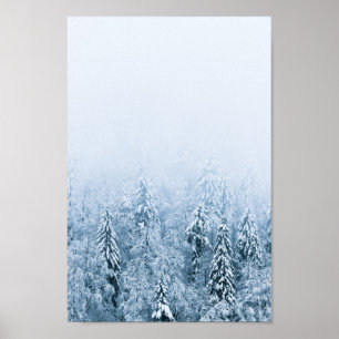 Schneebedeckter Buchen-Fichtenwald im Nebel Poster