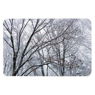 Schneebedeckter Eichenbaum Magnet
