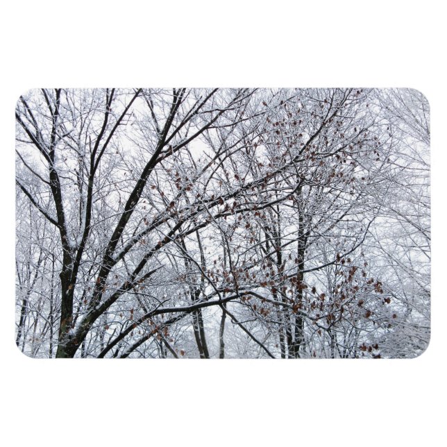 Schneebedeckter Eichenbaum Magnet (Horizontal)