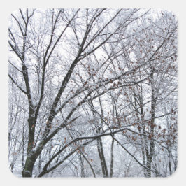 Schneebedeckter Eichenbaum Quadratischer Aufkleber