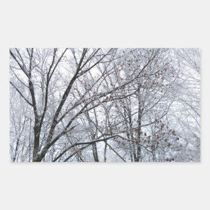 Schneebedeckter Eichenbaum Rechteckiger Aufkleber