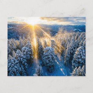 Schneebedeckter Fichtenwald aus der Luftansicht Postkarte