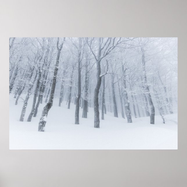 Schneebedeckter gefrorener Wald im Winter Poster (Vorne)