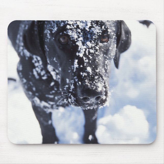 Schneebedeckter Hund Mousepad (Vorne)