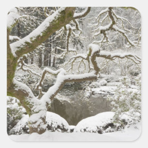 Schneebedeckter japanischer Ahorn Quadratischer Aufkleber