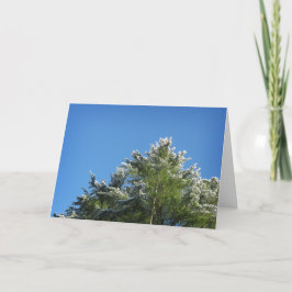 Schneebedeckter Kiefernbaum auf blauem Himmel Karte