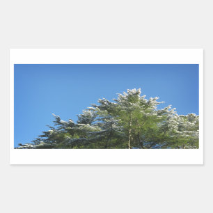 Schneebedeckter Kiefernbaum auf blauem Himmel Rechteckiger Aufkleber