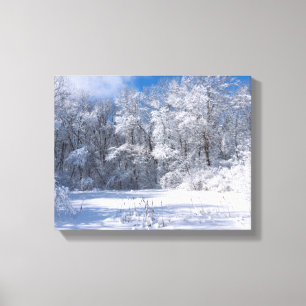 Schneebedeckter Marthaler Park und Bäume Leinwanddruck
