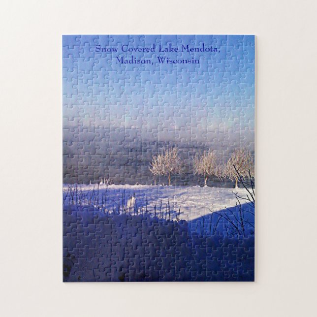 Schneebedeckter Mendota-See, Madison, Wisconsin (Vertikal)