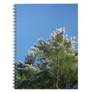 Schneebedeckter Pinienbaum auf blauem Himmel Notizblock