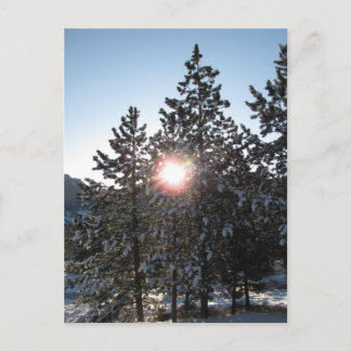 Schneebedeckter Sonnenaufgang in Colorado Postkarte
